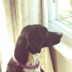 Meet your Posher, Kellie